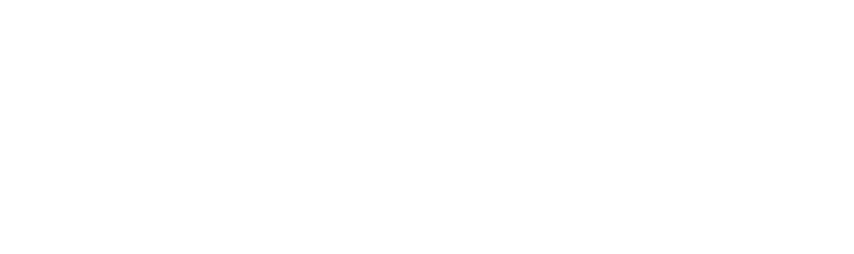 Pelisäännöt