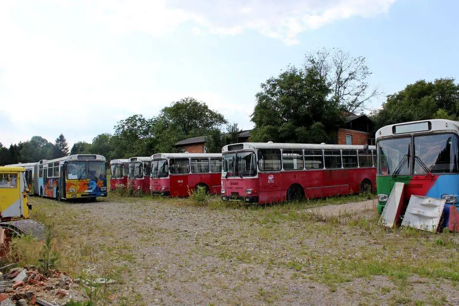 Line of abandoned buses in an outdoor scrapyard, Neulengbach, Austria.